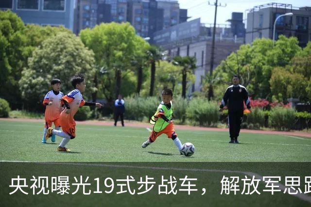 央视曝光19式步战车，解放军思路彻底变了，08式将何去何从？