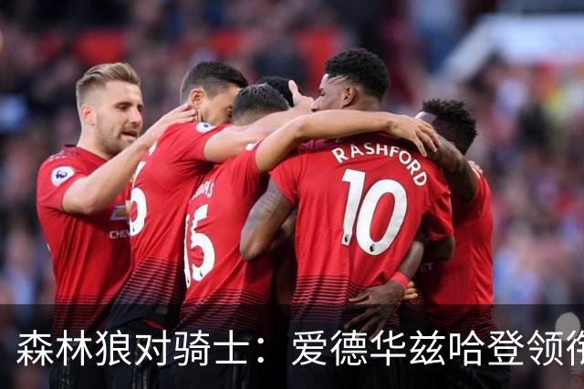 森林狼对骑士：爱德华兹哈登领衔，两队伤情成看点
